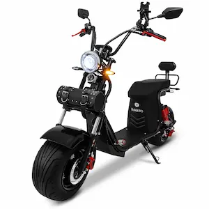 Cooler Elektro-Chopper im Motorrad-Look mit breiten Reifen und tiefem Sitz.