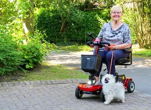 Ältere Frau fährt ein rotes Rolektro E-Trike mit kleinem weißen Hund im Park – komfortables Elektromobil für Senioren.