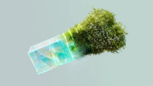 Innovationen: Grüne Pflanze wächst aus modernem Schachtel-Design – Symbol für nachhaltige Entwicklung und zukunftsweisende Ideen.