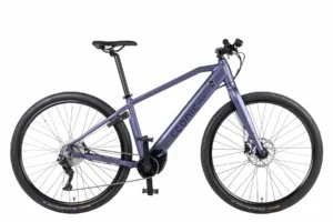 Eonic One E-Bikes – One Bandit in Arctic Fire, stabiles E-Bike mit starrer Federgabel